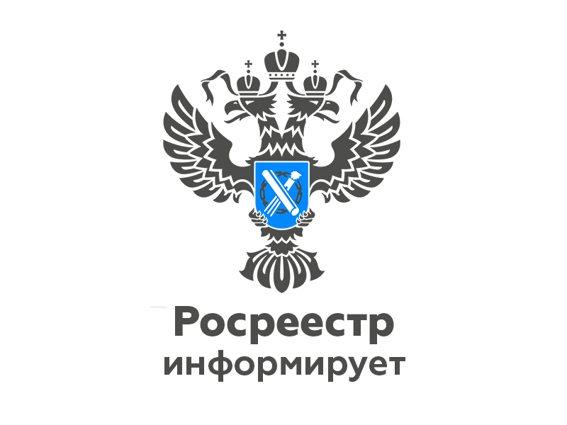 В Кадастровой палате рассказали, какие документы «забывали» россияне в 2019 году.